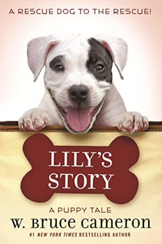 Book cover for "Lily's Story" by W Bruce Cameron