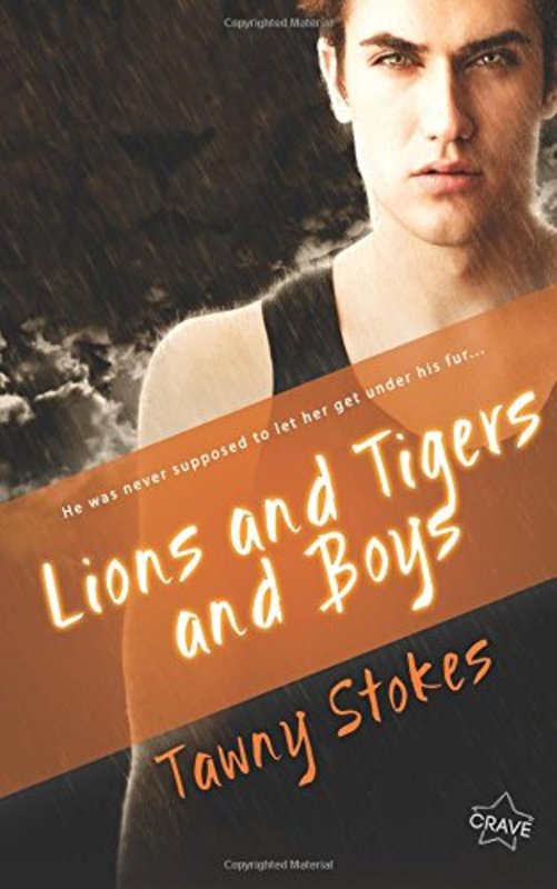 Tawny Stokes book cover