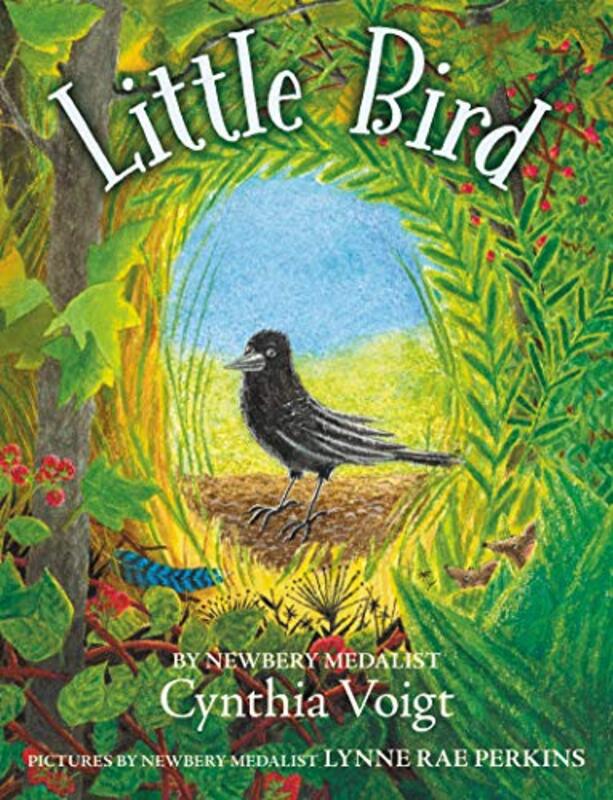 Cynthia Voigt book cover
