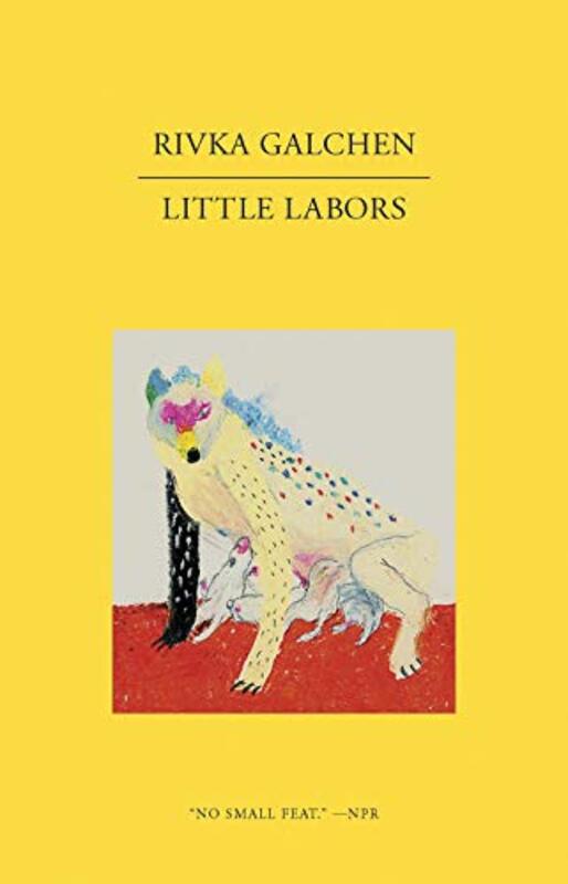 Rivka Galchen book cover