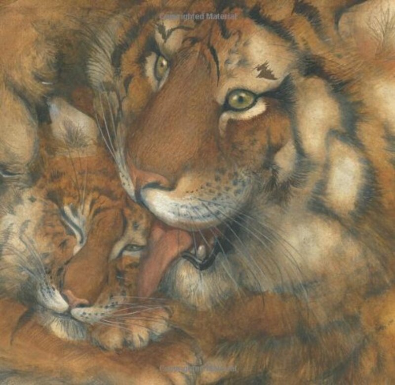 Book cover for "Little Lost Tiger" by Jonathan London