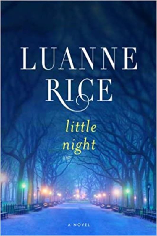 Book cover for "Little Night" by Luanne Rice