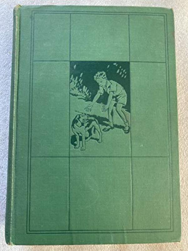 Book cover for "Little Orvie" by Booth Tarkington
