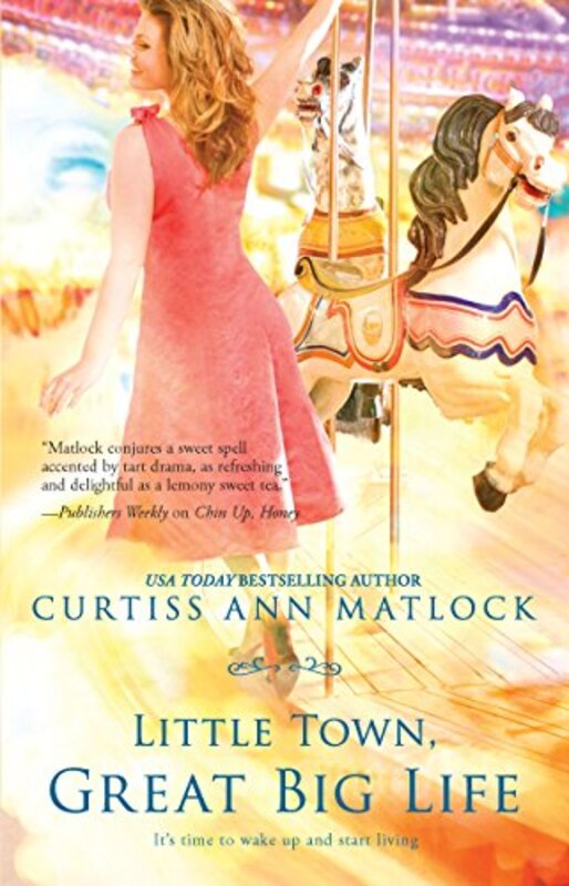 Curtiss Ann Matlock book cover