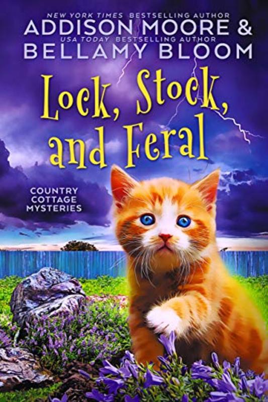 Book cover for "Lock, Stock, and Feral" by Addison Moore