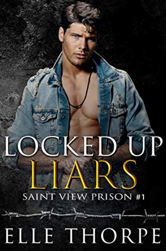 Book cover for "Locked Up Liars" by Elle Thorpe