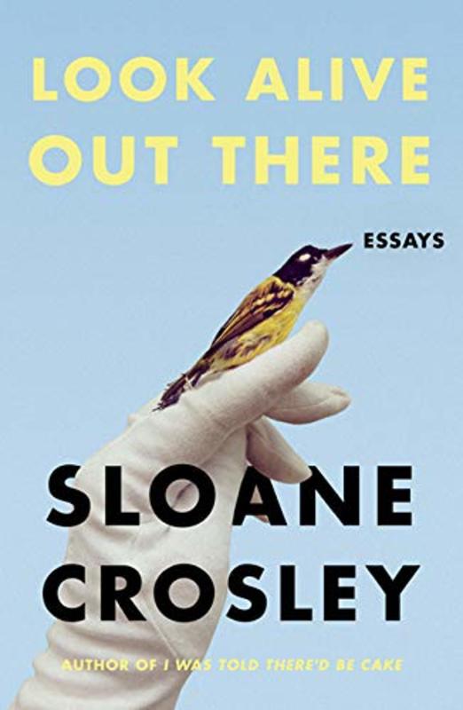 Sloane Crosley book cover