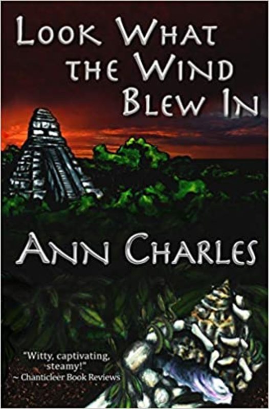 Book cover for "Look What the Wind Blew in" by Ann Charles