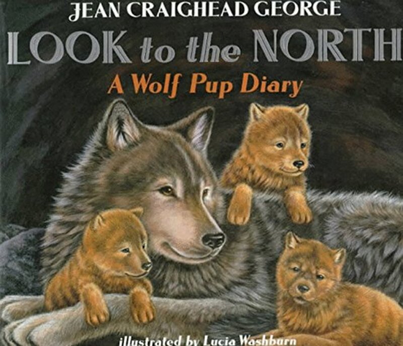 Book cover for "Look to the North" by Jean Craighead George