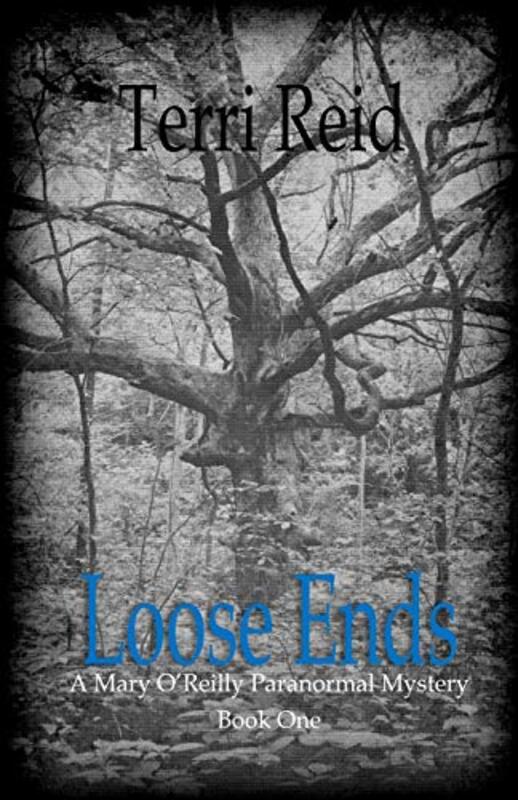 Book cover for "Loose Ends" by Terri Reid