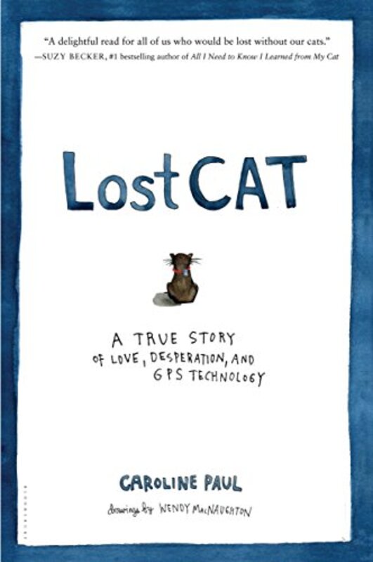 Book cover for "Lost Cat"