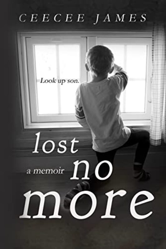 Book cover for "Lost No More" by CeeCee James