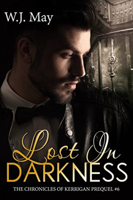 Book cover for "Lost in Darkness" by WJ May