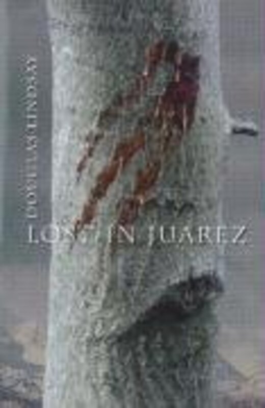 Book cover for "Lost in Juarez" by Douglas Lindsay