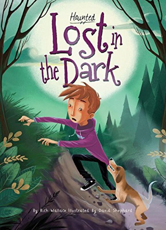 Book cover for "Lost in the Dark" by Rich Wallace