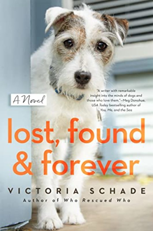 Book cover for "Lost, Found, and Forever" by Victoria Schade