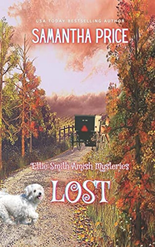 Book cover for "Lost: Amish Mystery" by Samantha Price
