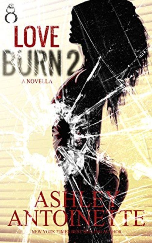 Book cover for "Love Burn 2" by Ashley Antoinette