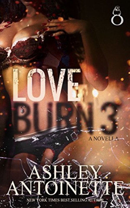 Book cover for "Love Burn 3" by Ashley Antoinette