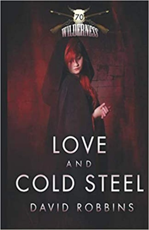 Book cover for "Love and Cold Steel" by David Robbins