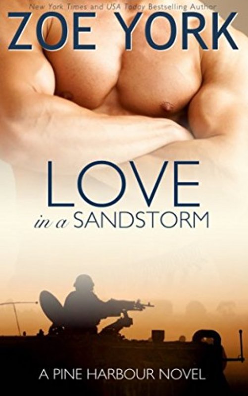 Book cover for "Love in a Sandstorm" by Zoe York