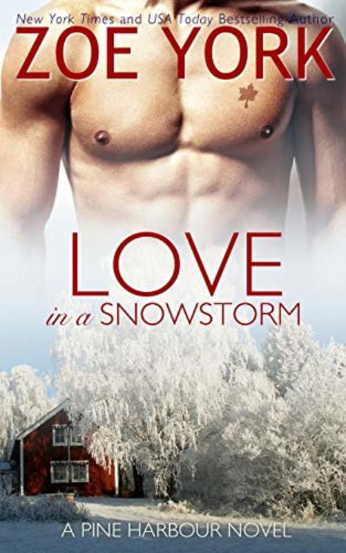 Book cover for "Love in a Snow Storm" by Zoe York