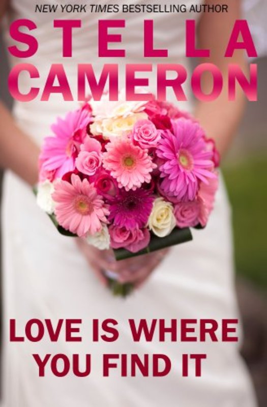 Book cover for "Love is Where You Find It" by Stella Cameron