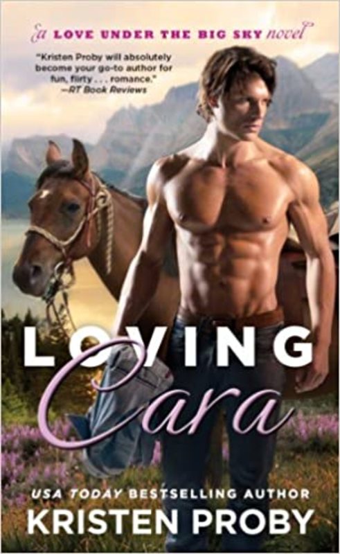 Love Under the Big Sky book cover