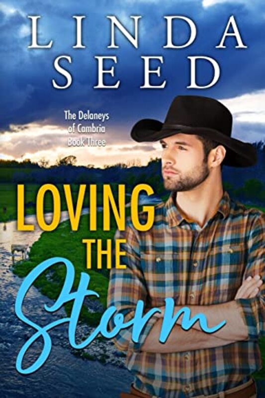 Book cover for "Loving the Storm" by Linda Seed