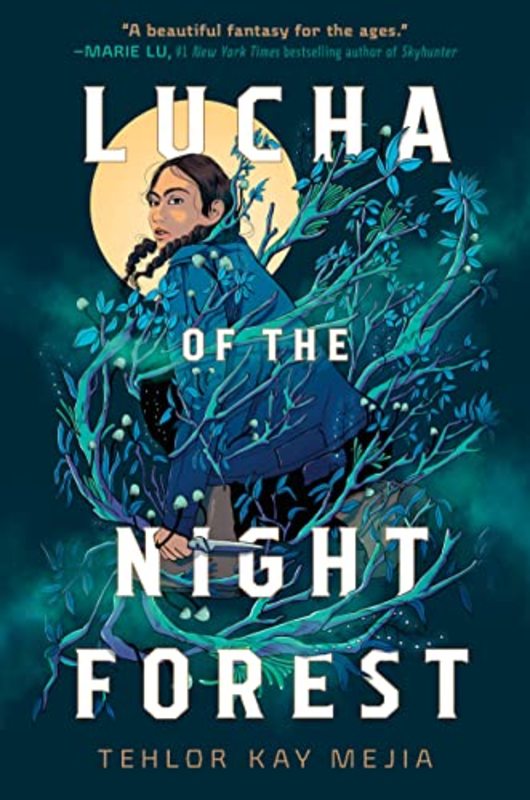 Tehlor Kay Mejia book cover