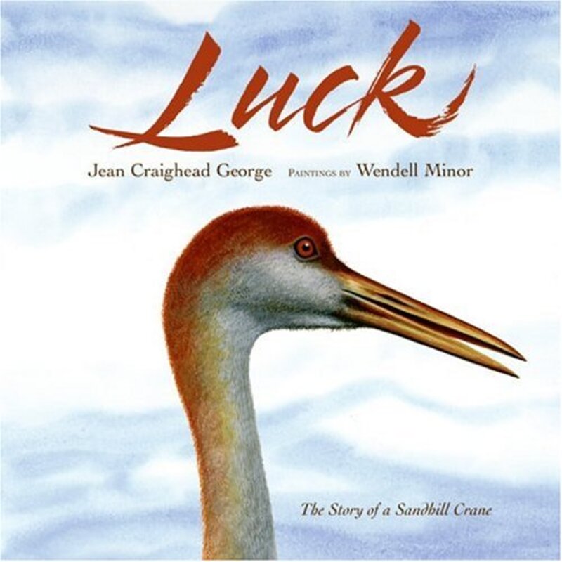 Book cover for "Luck" by Jean Craighead George