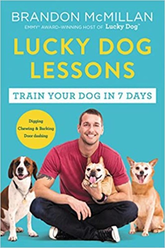 Book cover for "Lucky Dog Lessons" by Brandon McMillan