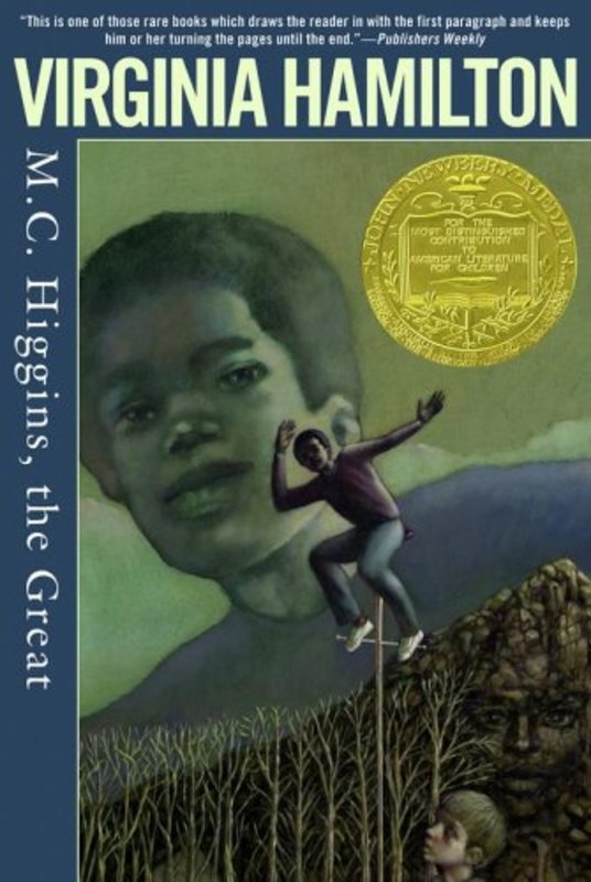 Book cover for "M.C. Higgins, the Great" by Virginia Hamilton