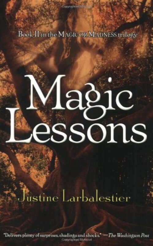 Magic or Madness Trilogy book cover
