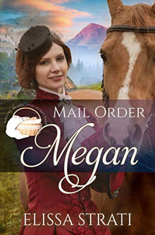 Book cover for "Mail Order Megan" by Elissa Strati