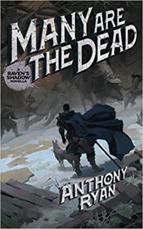 Raven's Shadow book cover