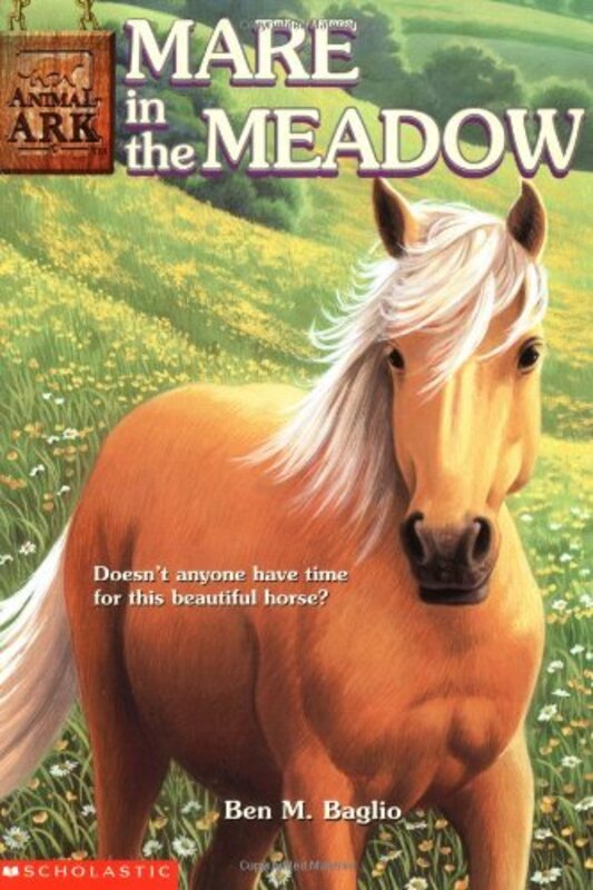 Book cover for "Mare in the Meadow" by Lucy Daniels