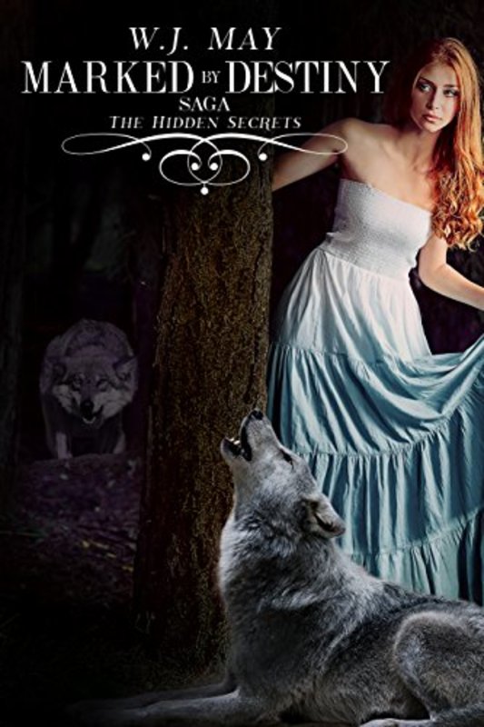 Book cover for "Marked By Destiny" by WJ May