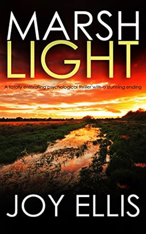 Detective Matt Ballard book cover