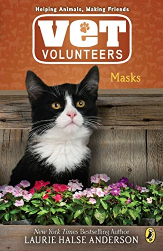 Book cover for "Masks" by Laurie Halse Anderson