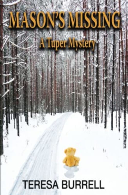 Book cover for "Mason's Missing" by Teresa Burrell