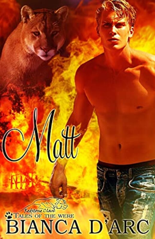 Book cover for "Matt" by Bianca D'Arc
