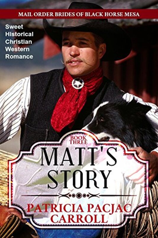 Book cover for "Matt's Story" by Patricia PacJac Carroll