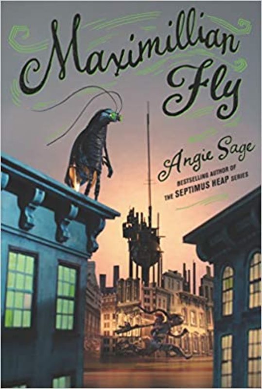 Angie Sage book cover