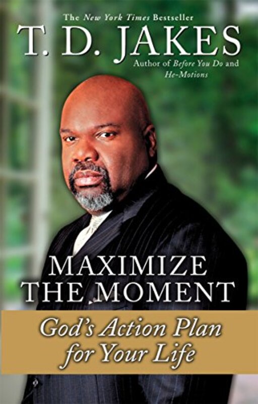 Book cover for "Maximize the Moment"