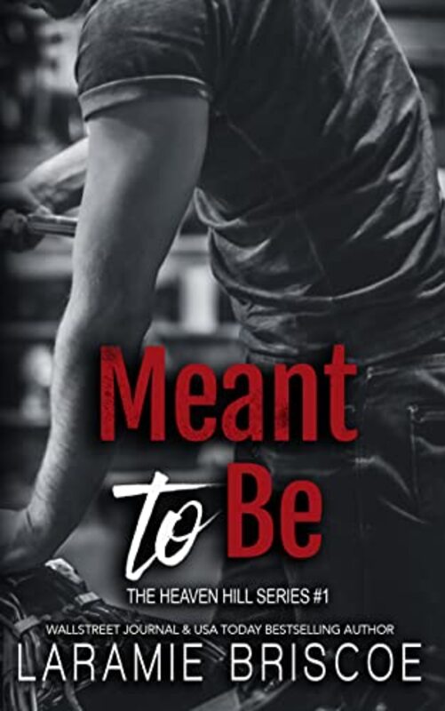 Book cover for "Meant to Be" by Laramie Briscoe
