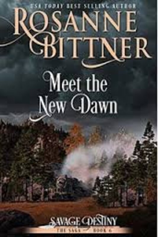 Book cover for "Meet the New Dawn" by Rosanne Bittner
