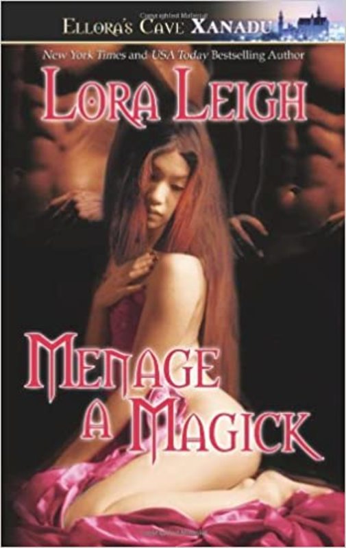 Wizard Twins book cover