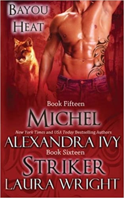 Book cover for "Michel/Striker" by Laura Wright