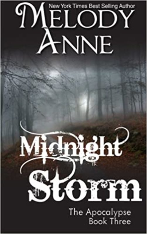 Book cover for "Midnight Storm" by Melody Anne